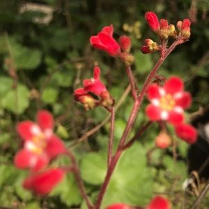 Meet your Posher, Mckayla